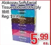 Alokozay soft facial tissue