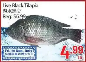 Hong Tai Supermarket Live black tilapia offer
