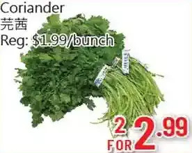 Coriander