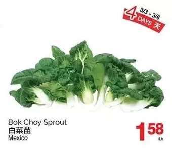 T&T Supermarket Bok choy sprout offer