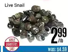 Nations Fresh Foods Live snail offer