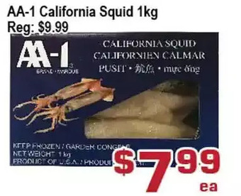 Aa-1 california squid
