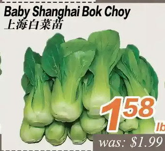 Seasons Foodmart Baby shanghai bok choy offer