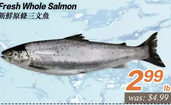 Seasons Foodmart Fresh whole salmon offer