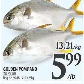 Al Premium Food Mart Golden pompano offer