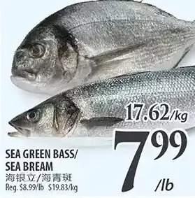 Al Premium Food Mart Sea green bass/sea bream offer