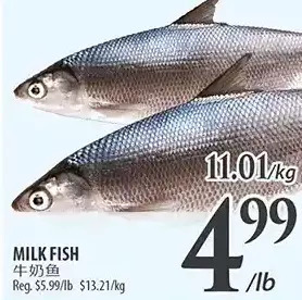 Al Premium Food Mart Milk fish offer