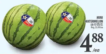 Al Premium Food Mart Mini watermelon offer