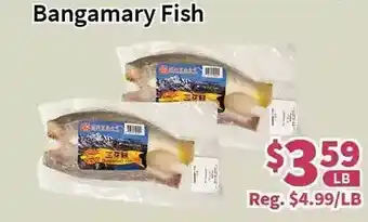 Blue Sky Supermarket Bangamary fish offer