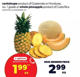 Real Canadian Superstore Cantaloupe or whole pineapple offer