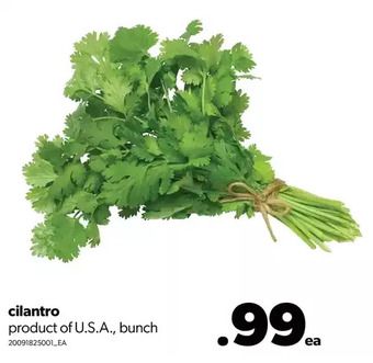 Real Canadian Superstore Cilantro offer