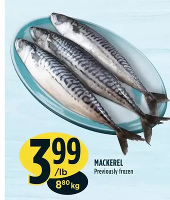 Marché Adonis Mackerel previously frozen offer