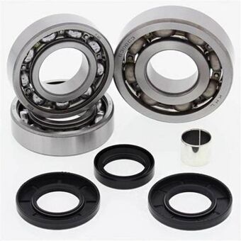 Royal Distributing All balls differential bearing & seal kit for polaris offer