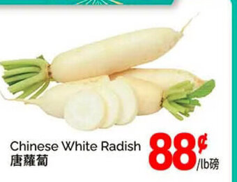 T&T Supermarket Chinese white radish offer