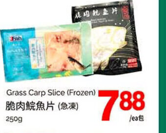 T&T Supermarket Grass carp slice (frozen) offer