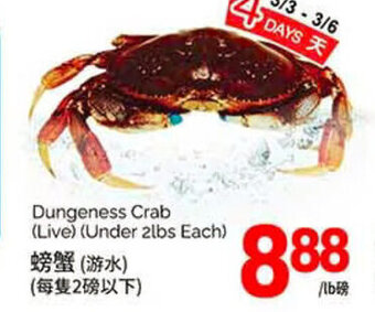 T&T Supermarket Dungeness crab (live) (under 2lbs each) offer