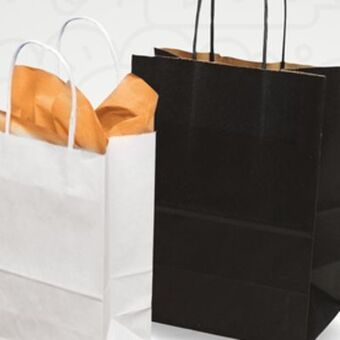 Staples Paper bags offer