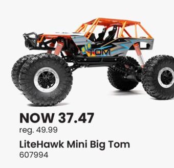 Toys R us Litehawk mini big tom offer
