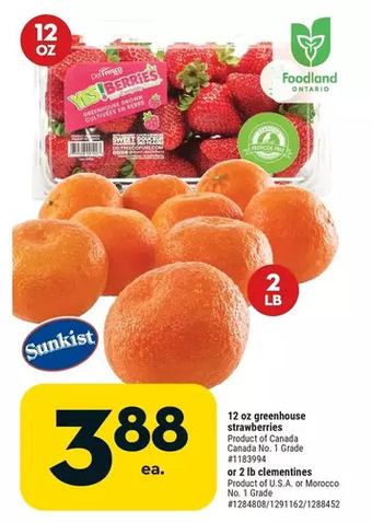 Giant Tiger 12 oz greenhouse strawberries offer