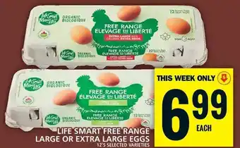 Food Basics Life smart free range large or extra large eggs offer