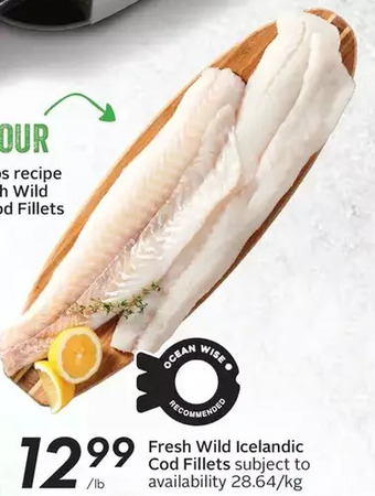 Sobeys Fresh wild icelandic cod fillets offer