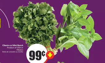 FreshCo Cilantro or mint bunch offer