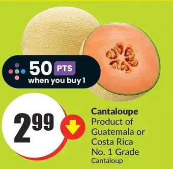 FreshCo Cantaloupe offer