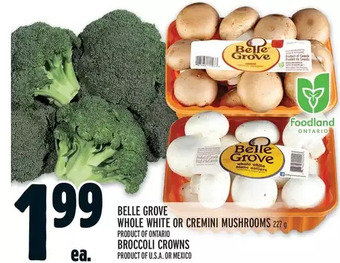 Metro Belle grove whole white or cremini mushrooms | broccoli crowns offer