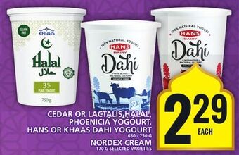 Food Basics Cedar or lactalis halal, phoenicia yogourt, hans or khaas dahi yogourt or nordex cream offer