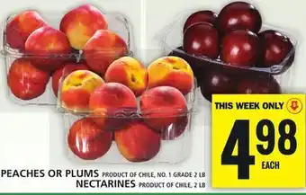 Food Basics Peaches or plums or nectarines offer