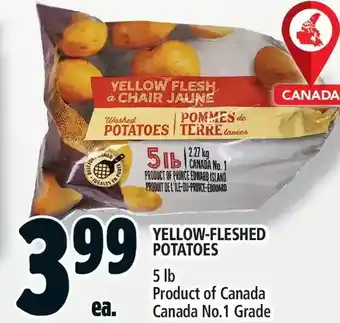 Metro Yellow-fleshed potatoes offer