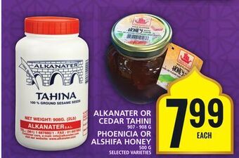 Food Basics Alkanater or cedar tahini or phoenicia or alshifa honey offer