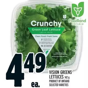 Metro Vision greens lettuces offer