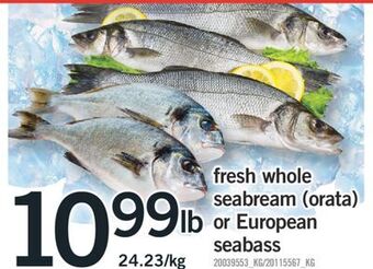 Fortinos Fresh whole seabream (orata) or european seabass offer
