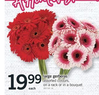 Fortinos Large gerberas offer