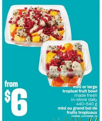 Independent Grocer Mini or large tropical fruit bowl, 440-540 g offer