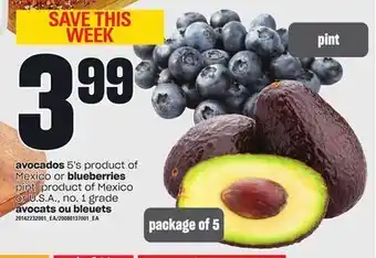 Independent Grocer Avocado, 5's or blueberries offer