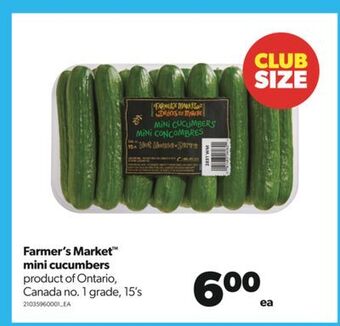 Real Canadian Superstore Farmer's market™ mini cucumbers, 15's offer