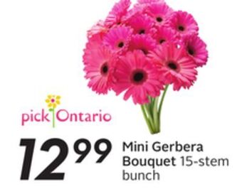 Sobeys Mini gerbera bouquet offer