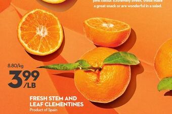 Longo's Fresh stem and leaf clementines offer