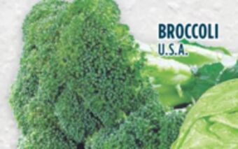 Marché Adonis Broccoli offer
