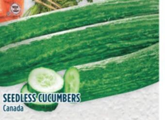 Marché Adonis Seedless cucumbers offer