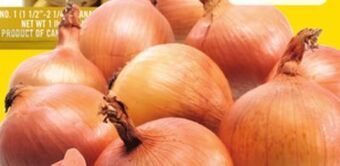 Giant Tiger 2 lb yellow onions offer