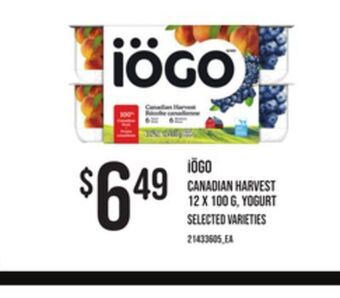 Zehrs Markets Iögo canadian harvest, 12 x 100 g, yogurt offer