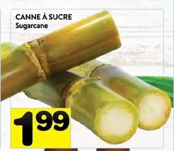 Supermarché PA Canne à Sucre offer