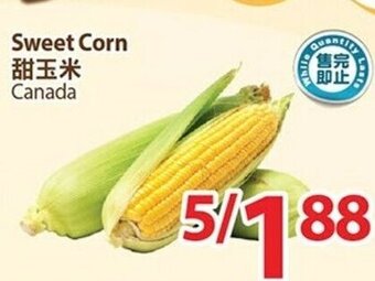 T&T Supermarket Sweet Corn offer