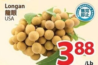 T&T Supermarket Longan offer