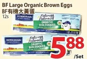 T&T Supermarket BF Large Oraganic Brown Eggs offer