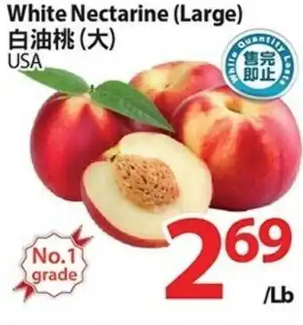 T&T Supermarket White Nectarine (Large) offer
