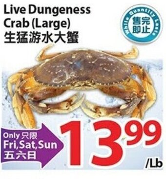 T&T Supermarket Live Dungeness Crab (Large) offer
